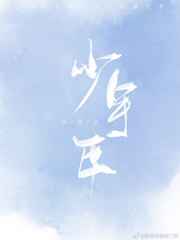 少年包青天包拯第二部